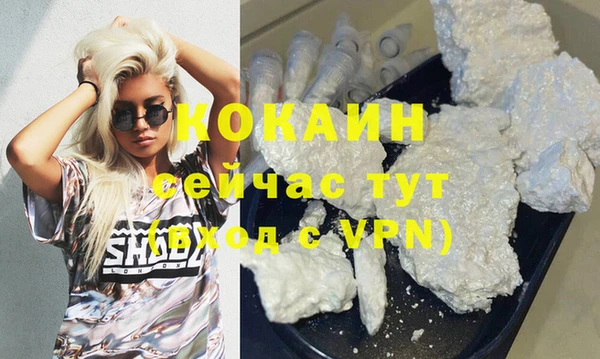 прущие грибы Гусев