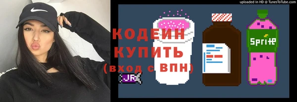 прущие грибы Гусев