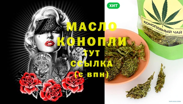 прущие грибы Гусев
