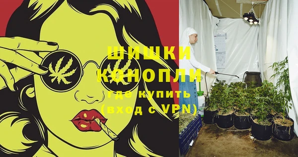 прущие грибы Гусев