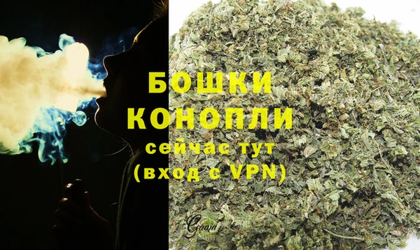 шишки Дмитров