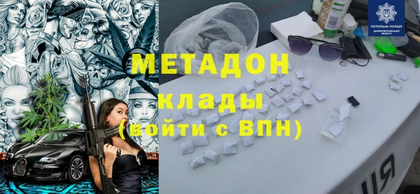 прущие грибы Гусев