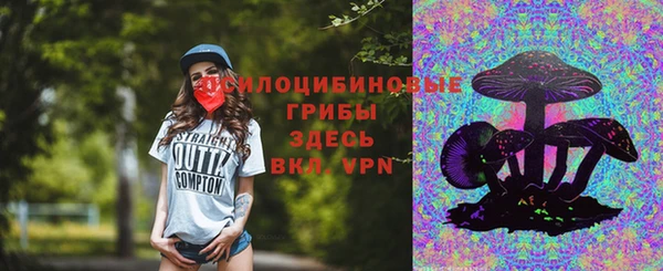 шишки Дмитров