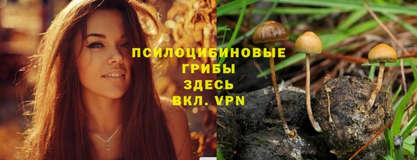винт Гусиноозёрск