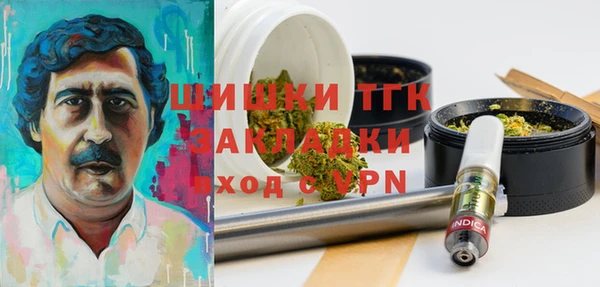 шишки Дмитров